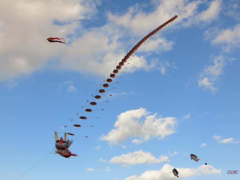 Rattey_2014_027