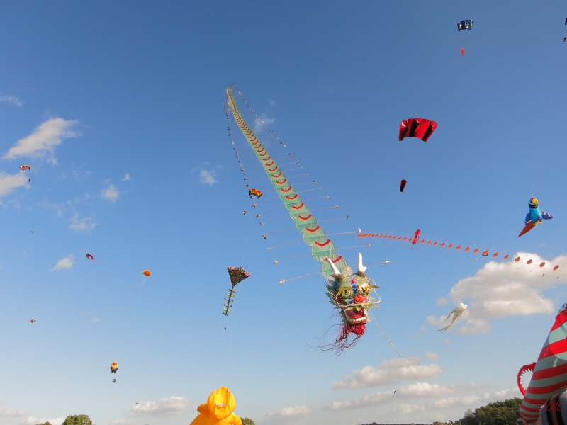 Rattey_2014_031