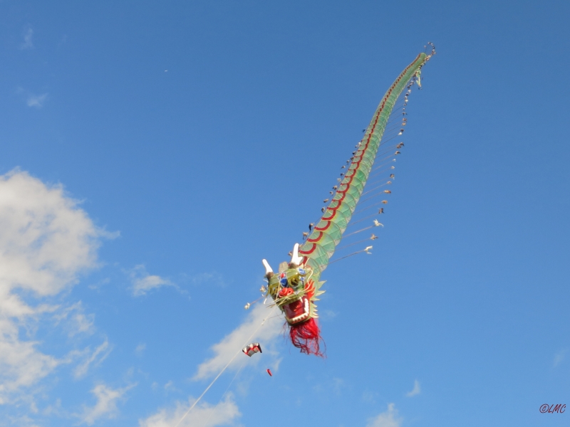 Rattey_2014_033