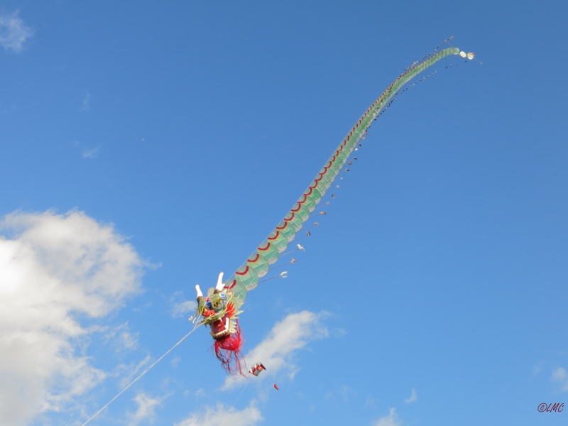 Rattey_2014_034