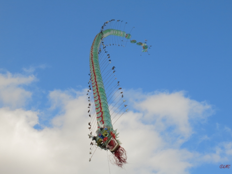 Rattey_2014_036