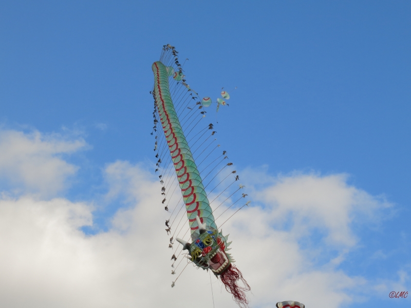 Rattey_2014_038