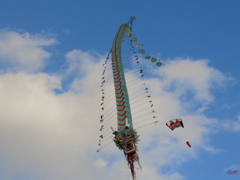 Rattey_2014_039