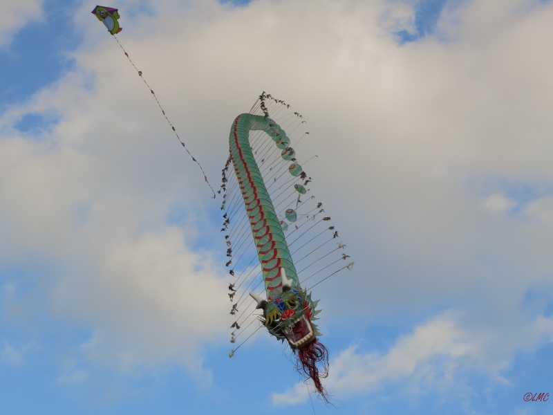 Rattey_2014_040