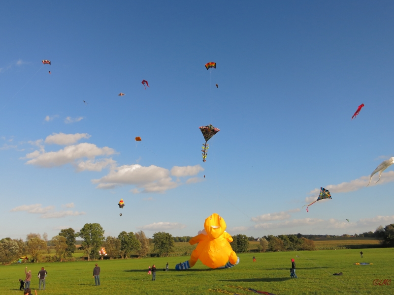 Rattey_2014_042