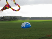 Rattey_2014_006
