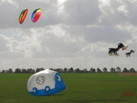 Rattey_2014_010
