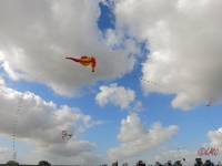 Rattey_2014_014