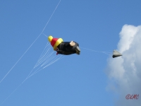 Rattey_2014_017