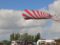 Rattey_2014_023