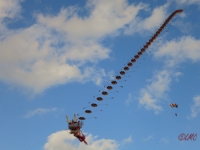 Rattey_2014_025