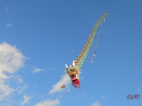 Rattey_2014_033