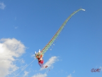 Rattey_2014_034