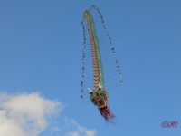 Rattey_2014_035