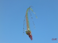 Rattey_2014_037