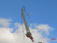 Rattey_2014_038