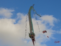 Rattey_2014_039