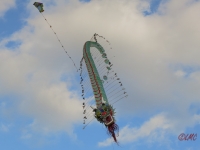Rattey_2014_040