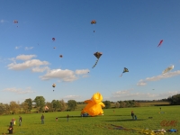 Rattey_2014_041
