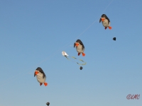 Rattey_2014_045