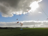Rattey_2014_007