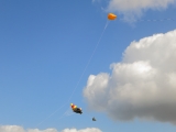 Rattey_2014_018