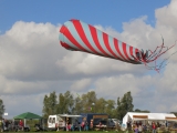 Rattey_2014_022