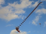 Rattey_2014_025