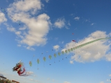 Rattey_2014_029