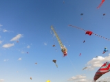Rattey_2014_032
