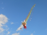 Rattey_2014_033