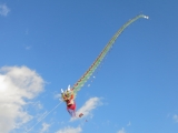 Rattey_2014_034