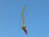 Rattey_2014_037