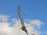 Rattey_2014_038