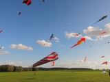 Rattey_2014_043