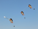 Rattey_2014_046