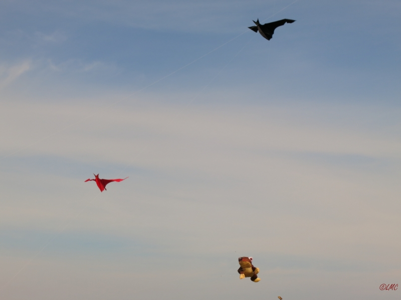 Rattey_2014_062