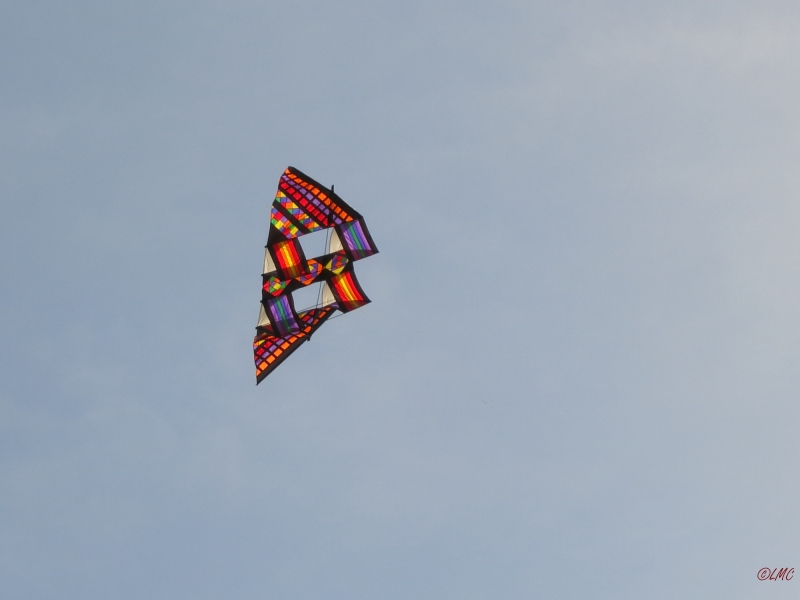 Rattey_2014_073