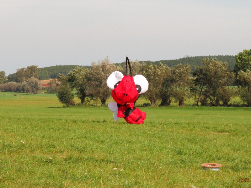 Rattey_2014_079