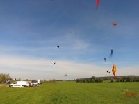Rattey_2014_057