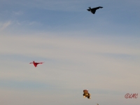Rattey_2014_062