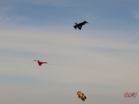 Rattey_2014_063