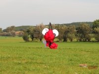 Rattey_2014_079