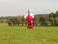 Rattey_2014_080