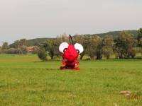 Rattey_2014_081