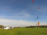 Rattey_2014_057