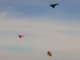 Rattey_2014_062