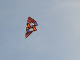 Rattey_2014_073