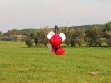 Rattey_2014_079