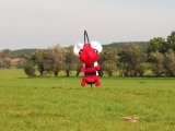 Rattey_2014_080